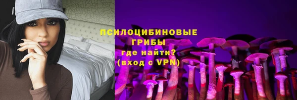 альфа пвп Сосновоборск