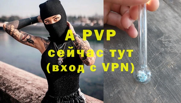 гашик Снежинск