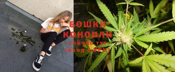 гашик Снежинск
