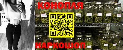 стафф Донецк