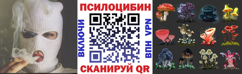 Галлюциногенные грибы MAGIC MUSHROOMS  сколько стоит  Нижнекамск 