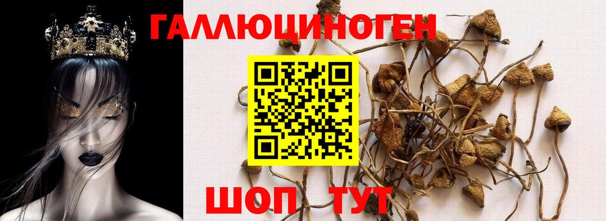 Нижнекамск  Галлюциногенные грибы прущие грибы  Вход с VPN 