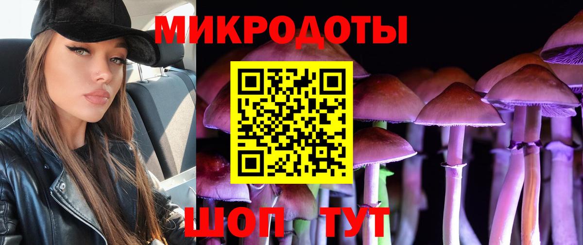 Галлюциногенные грибы прущие грибы Нижнекамск